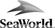 saeworld logo