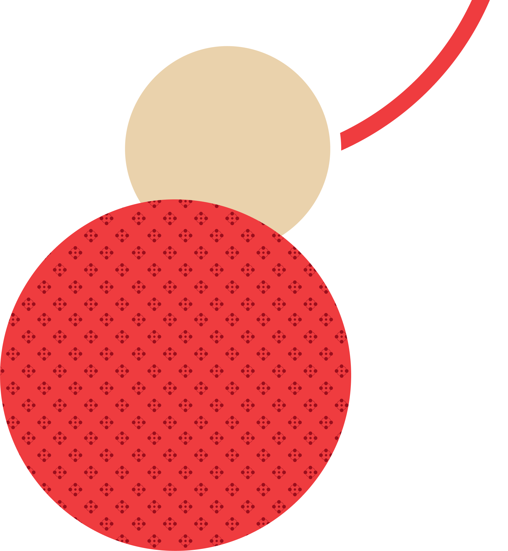 Red circle with ERIN pattern and smaller circle with tail